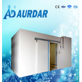 Alta Qualidade Cold Plate Venda Freezer com Preço Baixo